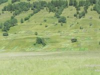 DSCN7006  Who can imagine the land tenure pattern!