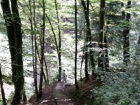 20160724 170433  Sunday, recovering from a cold, we still go for a maintenance hike, and come down through the Gorge de Chauderon