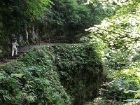 20160724 172008  It gets tropical in there