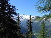 DSCN7073  We head up away from the pass into the forest