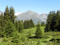 DSCN7081  Peaks above les Marecottes and the snowy south side of la Haute Cime