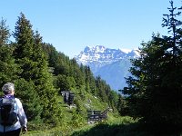 DSCN7082  Christine, wierd snow fences and la Dent de Morcles