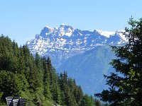 DSCN7083  Dent de Morcles