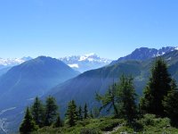 DSCN7088  Le Grand Combin
