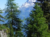 DSCN7093  Down off the ridge