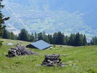 DSCN7097  Keeping the trees out of the pastures