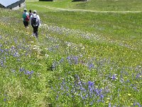 DSCN7109  Soaking up the sun!