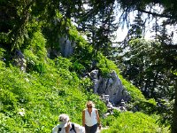 20160709 111202  Moving through the landscape