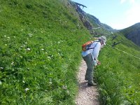 20160709 113817  Checking out the flowers as we near the top