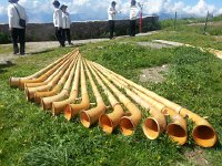 20160709 114134  Lovely instruments