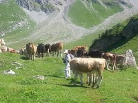 20160730 112249  Christine finds it hard to leave her buddies
