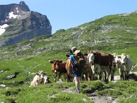 DSCN7148  They always seem to expect something from me!