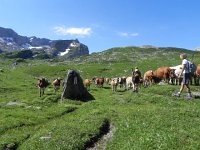 DSCN7151  We must pass through