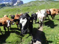 DSCN7155  very interested!