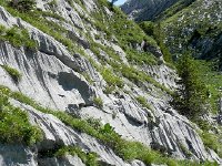 DSCN7168  I took this same photo in 2012! At least I am consistent!