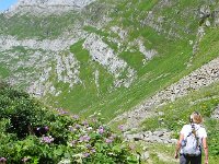 DSCN7170  More Berce