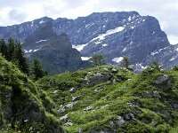 DSCN7177  Grand Muveran