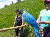 DSCN7179  What a beautiful animal!