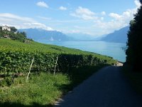 20160728 163345  the full picture