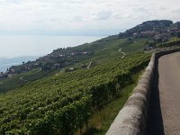 20160728 163558  Rivaz (L) and Chexbres (R)