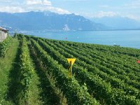 20160728 163622  Tour de Mayen and Tour d&#39;Aï in the distance