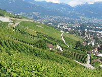 20160728 165453  Corseaux