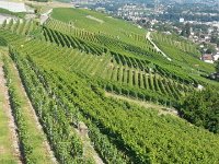 20160728 165558  Designne