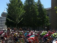 20160720 120716  There they go!