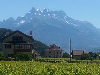 20160720 143401  Really, these are our local version of the Tetons