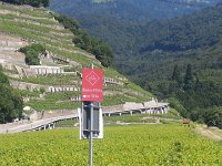 20160720 145031  They will be coming down here (video on YouTube)