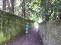 20160723 142928  The path down to the lake edge in La Tour de Peilz