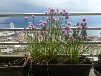 20160604 145801  the weather storming out over the mountains