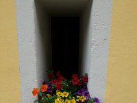 20160618 192555  Lovely detail on the Cote de Pallens