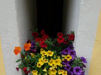 20160618 192602  Colors!