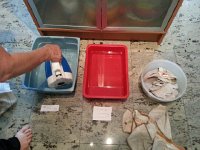 20160619 190303  Testing different whitening pre-treatments