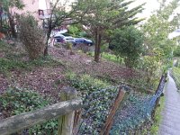 20160620 073909  What had been a jungle is now open!