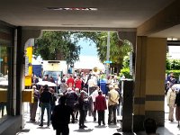 20160618 155046  moseys along.