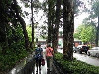 DSCN6378  like the tropics!