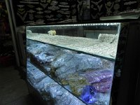 DSCN6384  Rhinestones