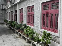 DSCN6424  Receding ranks