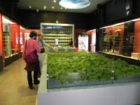 DSCN6580  We made it to the Museum where we found Su Wei and Liu. Austin and I examine the model of the region