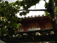 DSCN6452  Roof detail