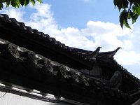 DSCN6453  Roof detail II