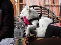 DSCN6458  and one of the several four-footed friends who lived there with us