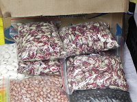 DSCN6611  Magic beans!