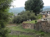 DSCN6639  Ducks being herded down to the stream