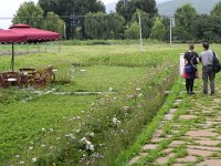 DSCN6648  Trying to decipher the field