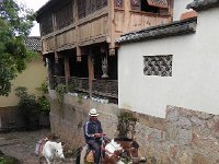 DSCN6651  The horses of the Tea Horse Road