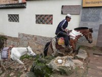 DSCN6652  small creatures