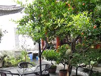 DSCN6669  The view from our restaurant room